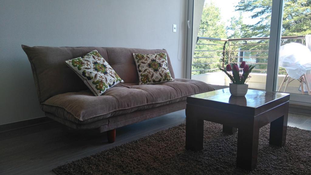 Departamento Condominio Payllahue Pucón